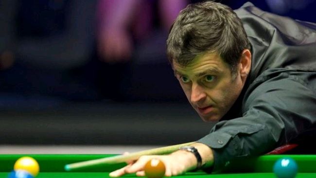 这一消息引 这一消息引